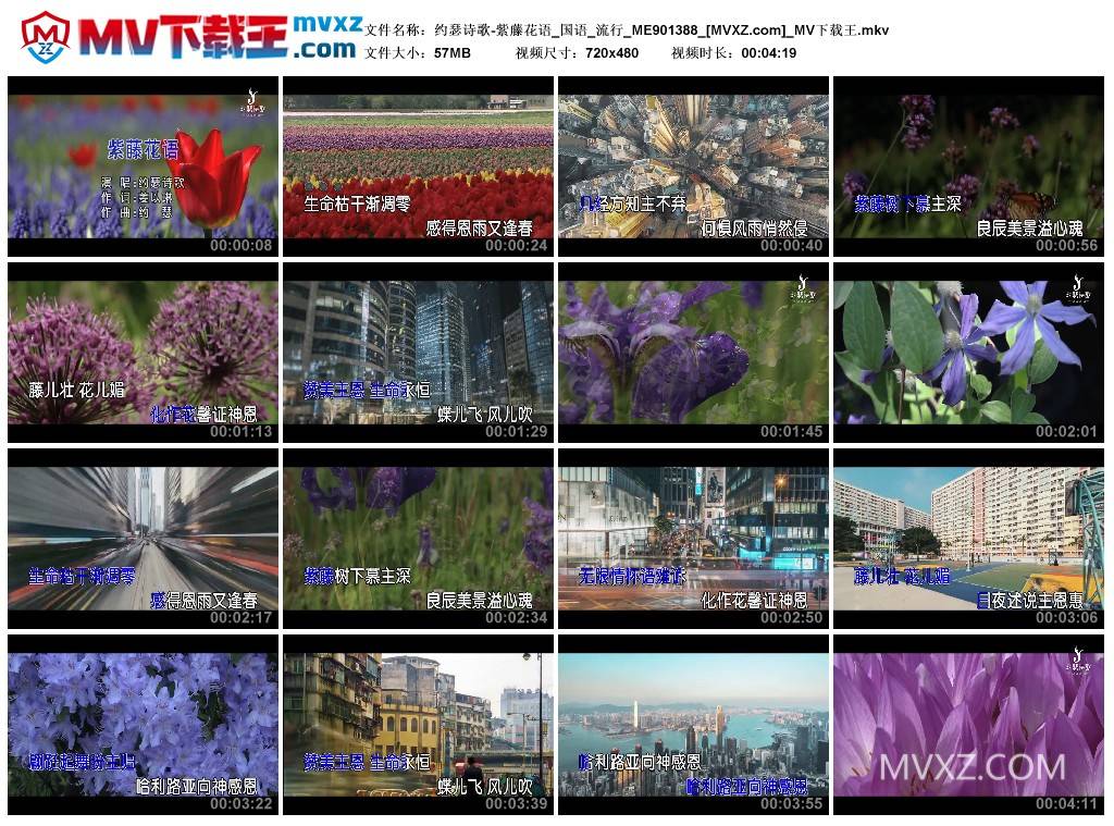 约瑟诗歌-紫藤花语_国语_流行_ME901388